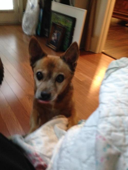 F3041868-1CF7-41F6-B927-B3FD3DF63B70