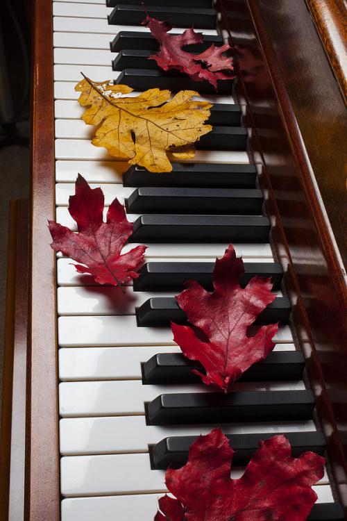 autumn-leaves-on-piano-garry-gay