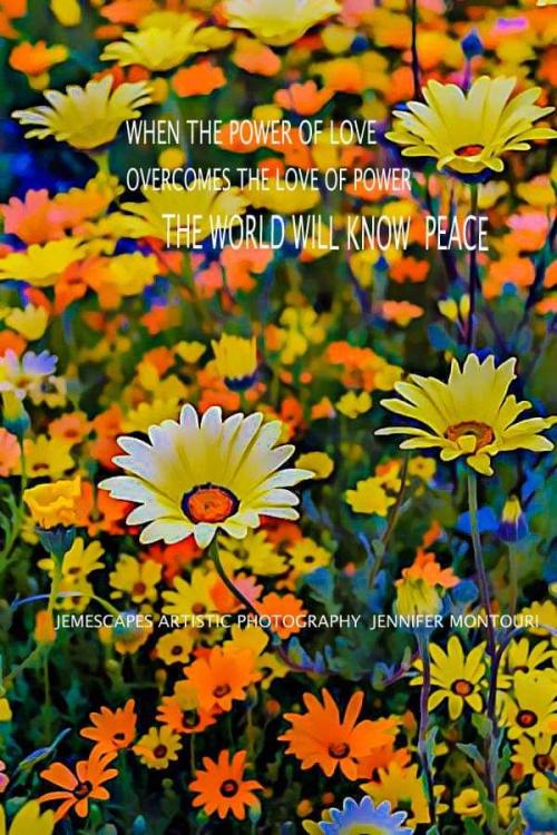 FB_IMG_1599511085409