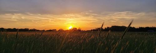 FB_IMG_1595469867784