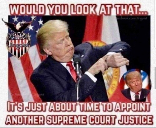 tumblr_3fc8ad97fff27ddbbde425b051296275_b107a1c9_500