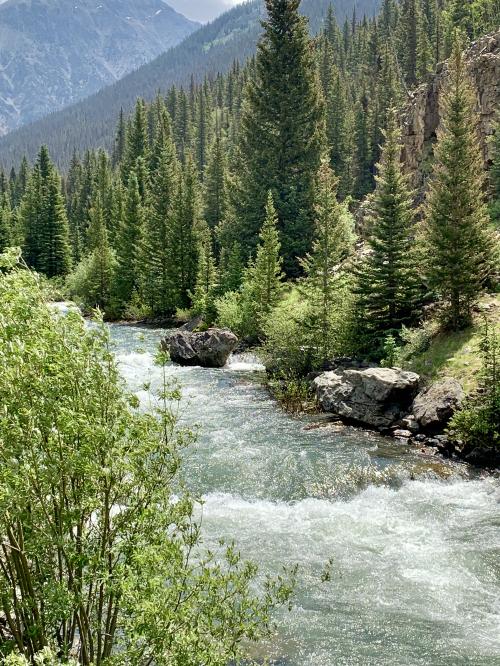 7CD832B9-731A-4148-A803-0457BA428234