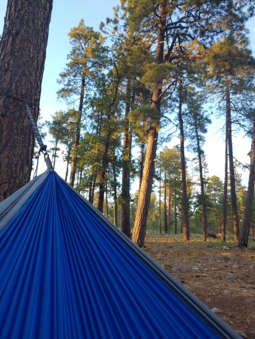 Message_1595124303760