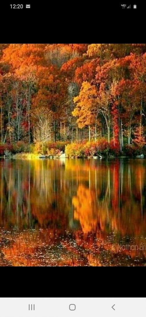 FB_IMG_1599156395934