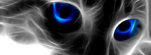 423192_10200165729686649_304180261_n