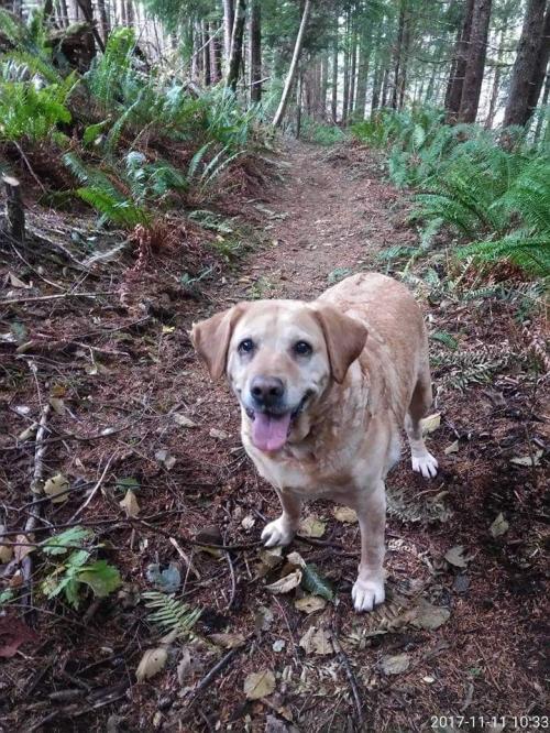 FB_IMG_1572913308165