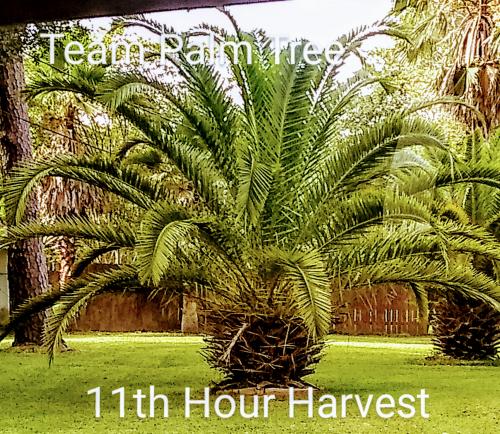 IMG_20200628_173048712~2