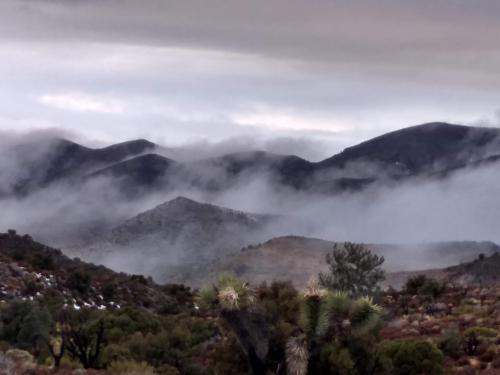 IMG_20191204_160407119_HDR