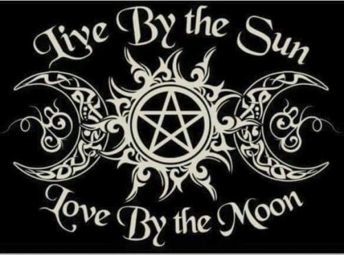 84461043_10222117220024891_2855976002834661376_n