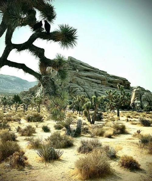 Screenshot_20200915_163631