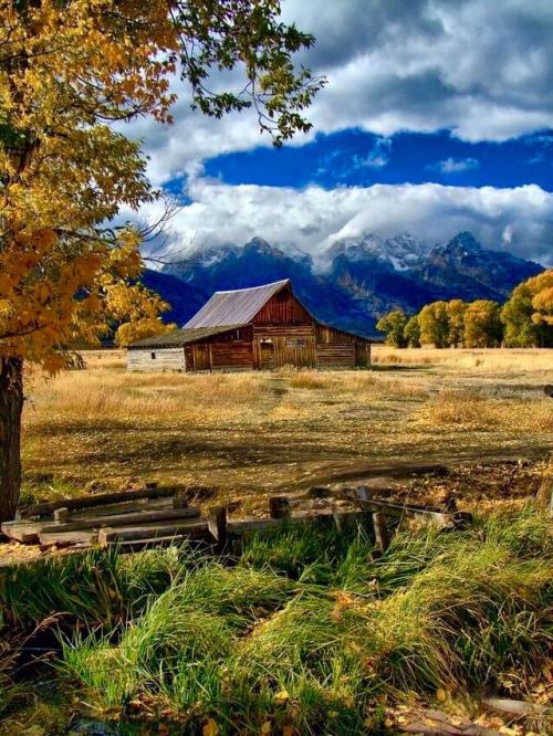 2d440412-7287-418c-929d-8b7a80de84d5