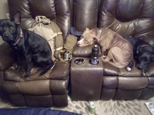 117861072_640492613239293_3415167050349480148_o