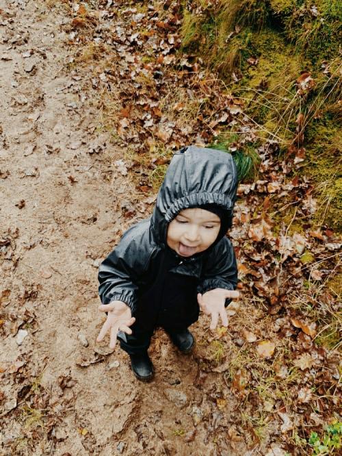 image-81317145-8dac-4a20-a23e-0db3ccc7c84c