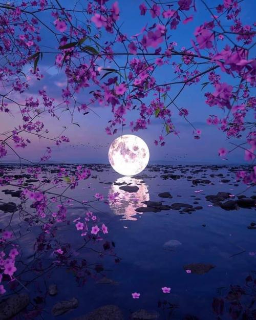 FB_IMG_1601242516829