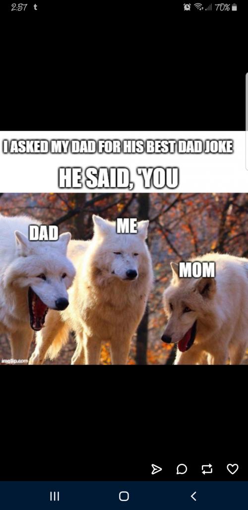 Screenshot_20200713-145731_Tumblr