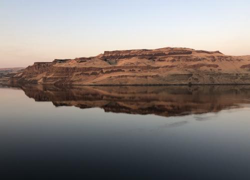 D1E254F8-43F7-45F1-80DC-AE224AB71EB6