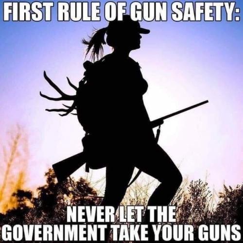Never let the Gov take your guns