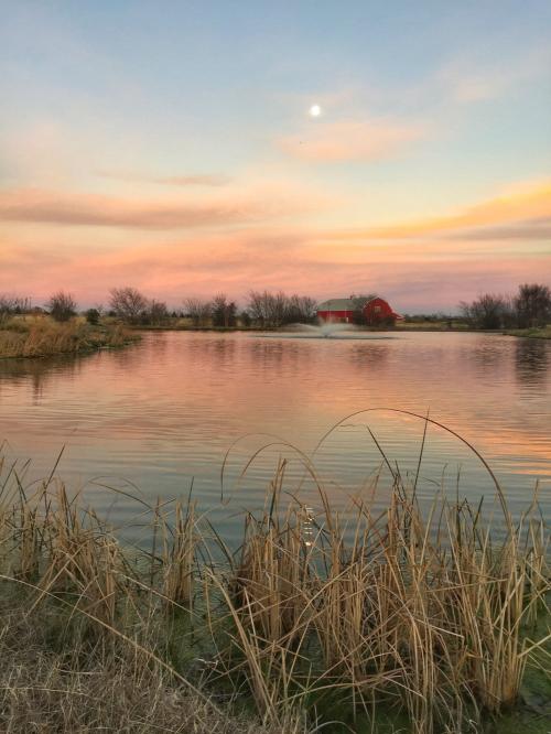 A13BD514-5A9C-40AB-A865-F7A3785751C8