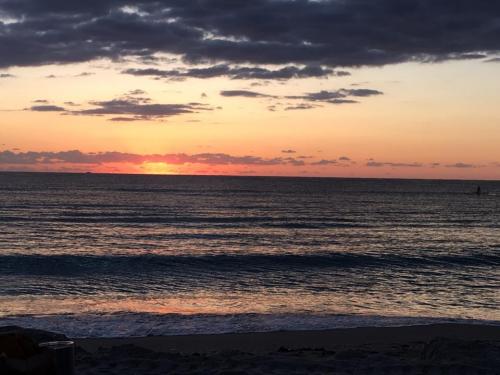 57503033_10215047604486405_6886761063048544256_n