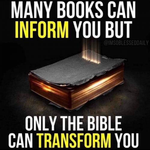 The best book you can read.