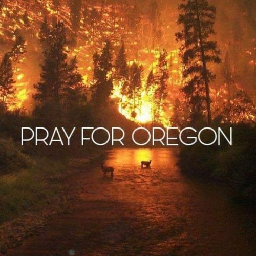 m_59af4c16291a350c6c01be5c