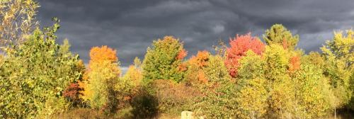 15BC2960-55C6-41EE-877F-C383B68DDA8C