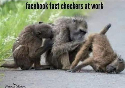 Fact Checkers