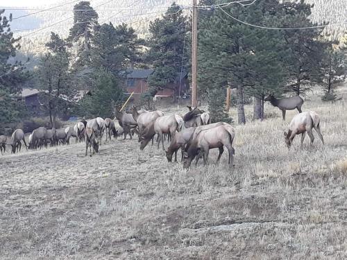 FB_IMG_1599571998850