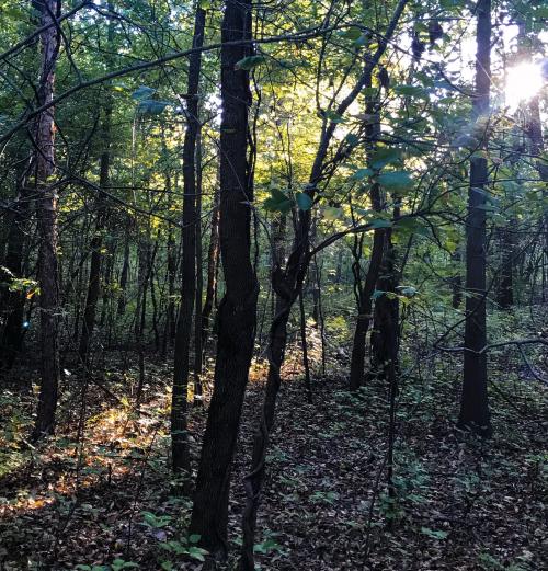 9320576B-8E57-4A8E-A0C5-5C07BE6CC149