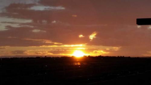 FB_IMG_1600352923489