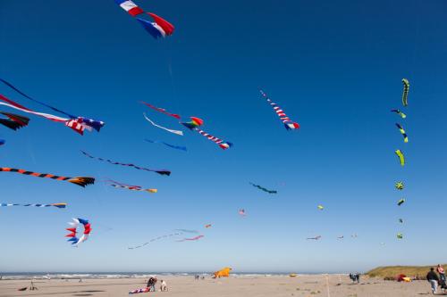 kites-flying-over-long-beach