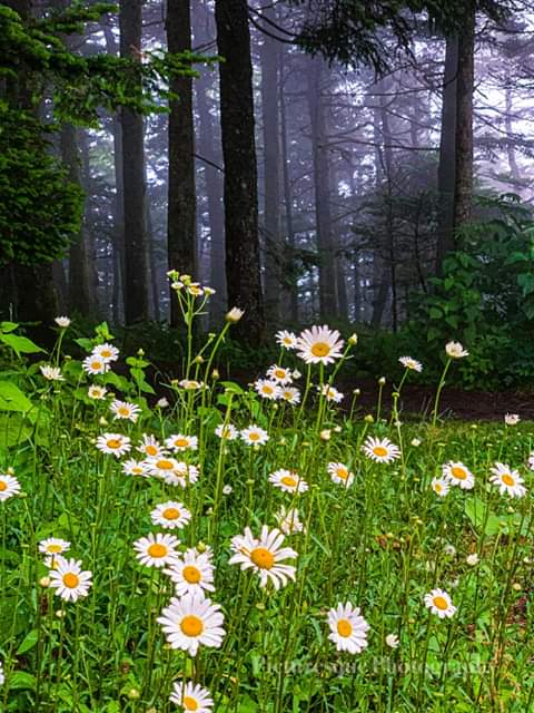 FB_IMG_1577387215003