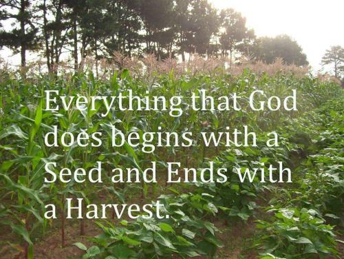 everything thing God does begins with a seed