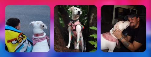 FB_IMG_1599788358703