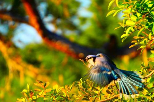 FB_IMG_1600652704574