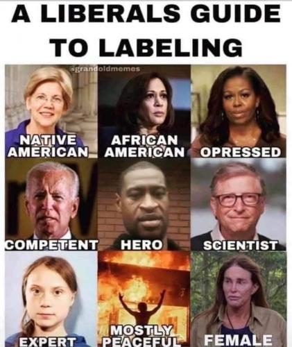 Liberal's Guide to Labeling