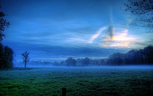 EarlyMorningMist_1920x1200