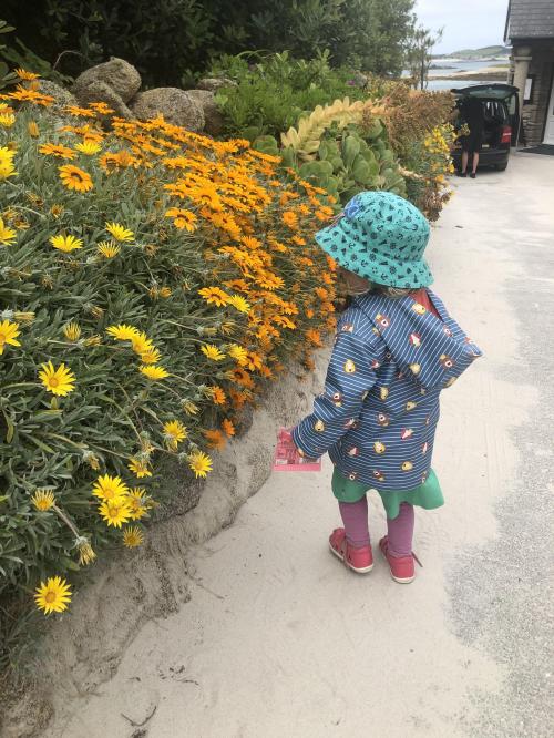 1B0833E7-8F23-4422-9DF6-5D5607CA3809