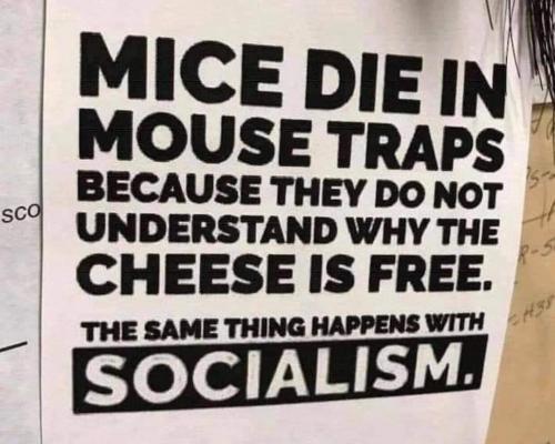 inbound7515991443567563104