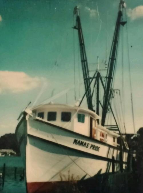 15178183_10202548072498459_6817008957188966250_n