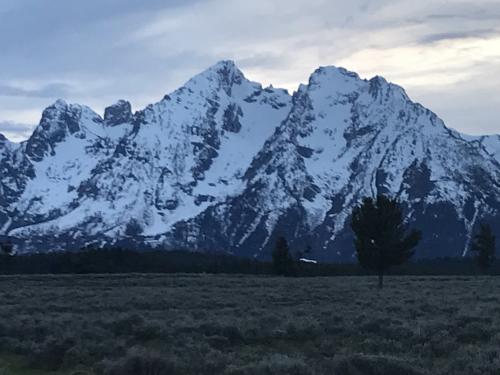 D2C33194-5C42-4761-85C1-DFE7F8567F07