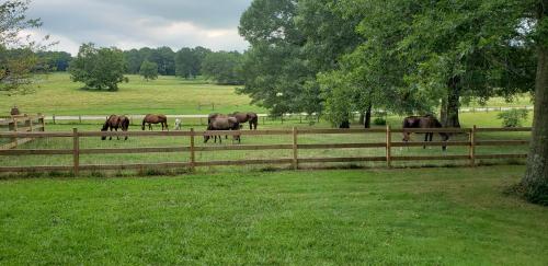 Resized_20200805_102610