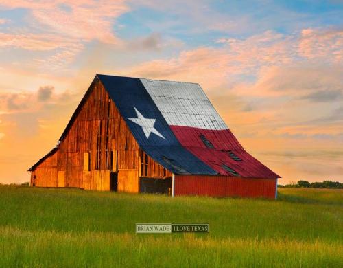 13620059_1009273965808644_2228989824114750073_n