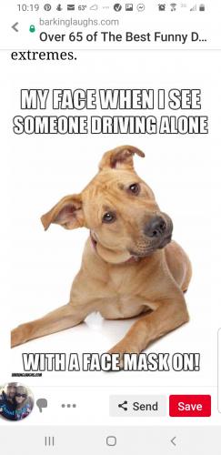 Screenshot_20200906-222000_Pinterest