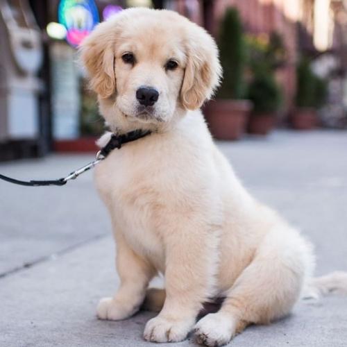 IMG_20200918_025422_720