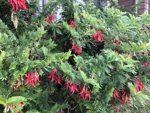 00B29D10-1BC6-448C-A3AA-FF5420EDB17B