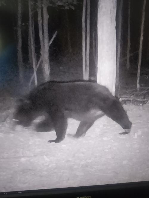 IMG_20200907_154700680