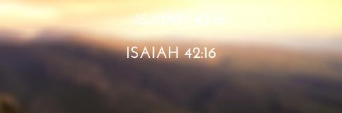 1435A8FA-0484-43D5-A99C-25EB566F5BF4.png