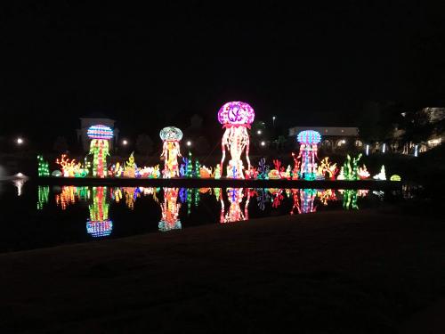 received_2239434836317662