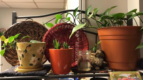 5C486730-8571-4945-BBB8-6CB5E4E687BD